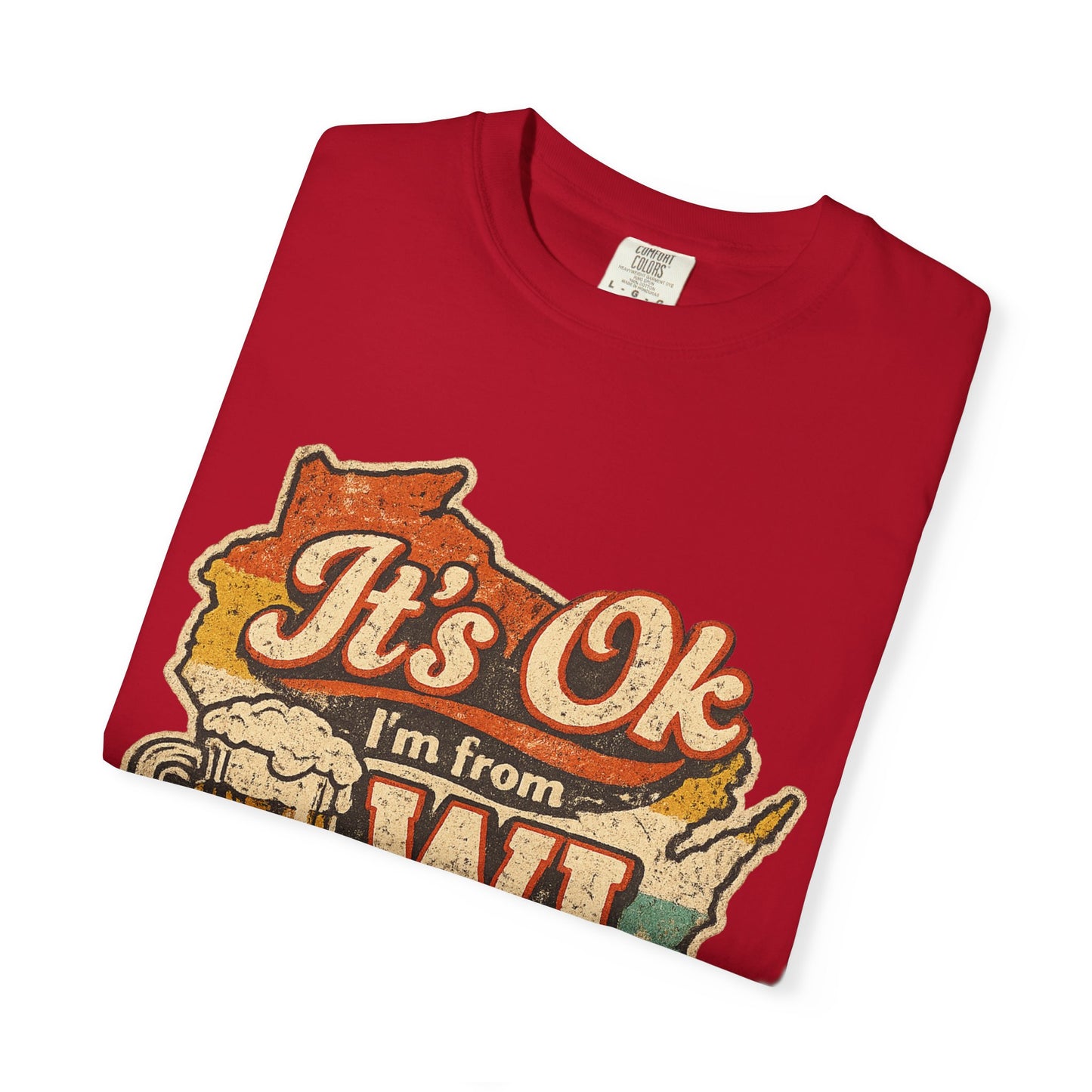 It's Ok I'm From WI T-Shirt